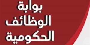 تعيينات حكومية.. فرصة ذهبية للحصول على وظيفة العمر في هذه المجالات - اقرأ 24