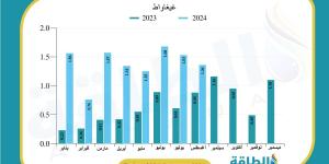 أكثر الدول العربية استيرادًا للألواح الشمسية الصينية في 2024