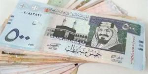 أسعار الريال السعودي مقابل الجنيه المصري اليوم الثلاثاء 15-10-2024 بالبنوك - أقرأ 24