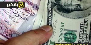 سعر الدولار أمام الجنيه المصري في نهاية تعاملات اليوم الخميس 24-10-2024