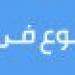 «النقل» تجدد مناشدتها للمواطنين بعدم إقامة معابر غير شرعية على السكك الحديدية - أقرأ 24