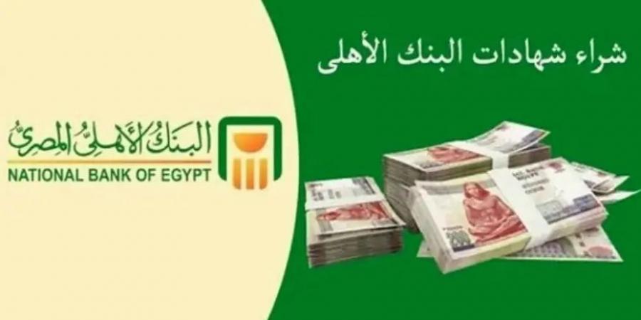 شهادة البنك الأهلي المصري تمنحك 6500 جنيه كل شهر ازاى تحصل عليها - أقرأ 2