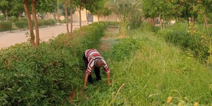 استجابة لشكوى الأهالي.. حل مشكلة تسريب المياه في شوارع كفر أبجيج بمدينة الواسطى - أقرأ 24