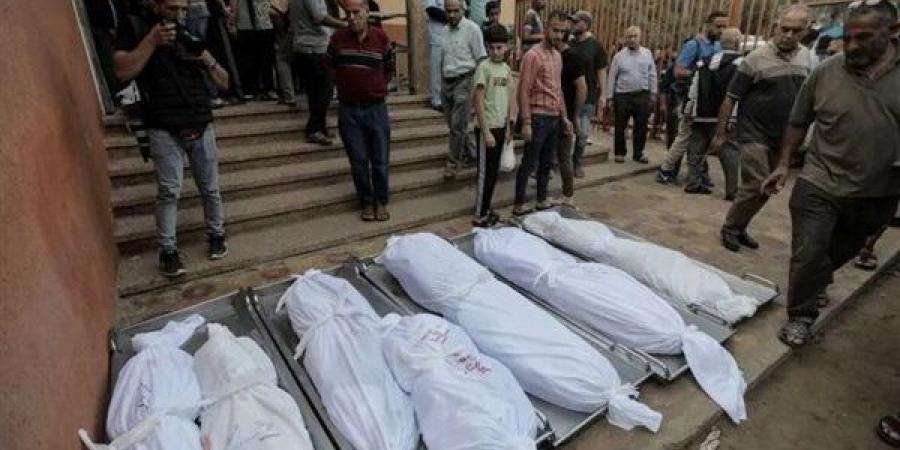 مسؤولون فلسطينيون: مقتل 38 شخصا في قصف إسرائيلي لخان يونس - أقرأ 24