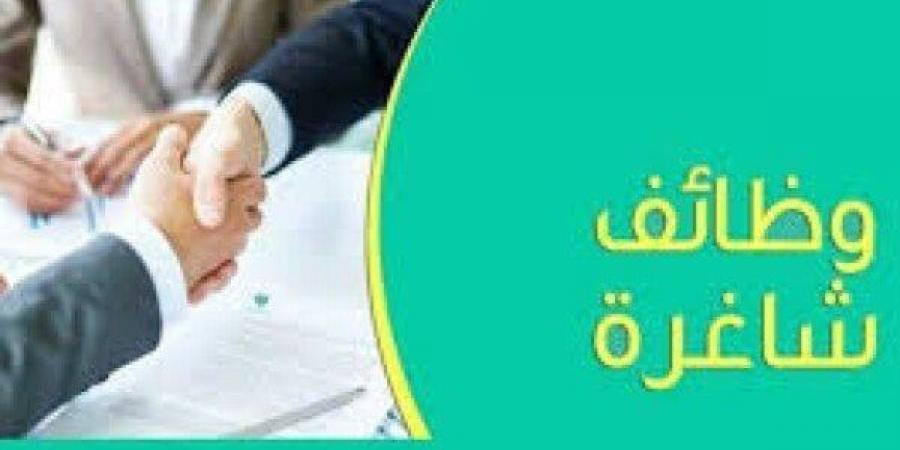 وظائف محافظة الجيزة.. موعد ورابط التقديم - أقرأ 24