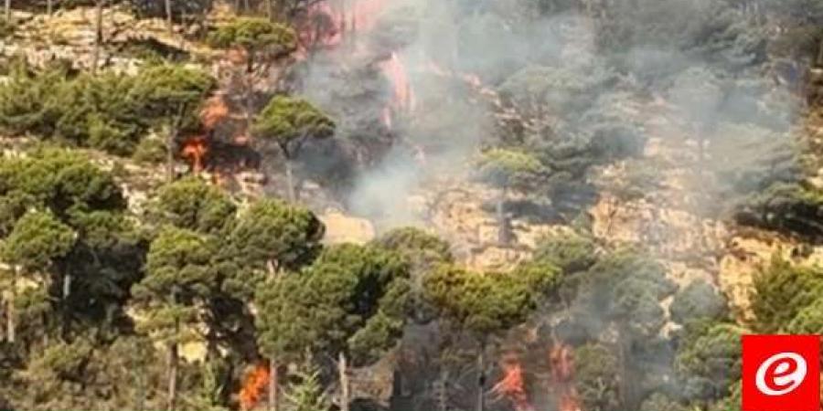 حريقان في خراج قيتولي- جزين وبلدة مرياطه قضاء زغرتا وطوافات الجيش تتدخل - أقرأ 24