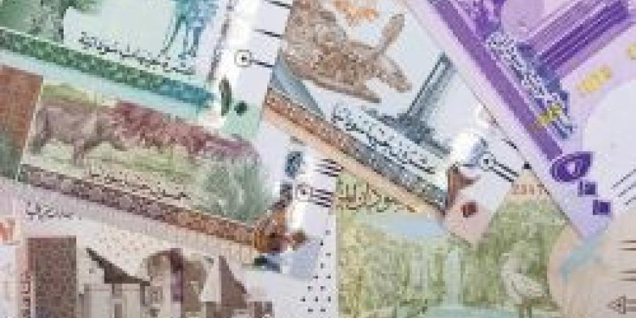 بكم ؟ .. سعر الجنيه السوداني مقابل الريال السعودي اليوم الإثنين 28 أكتوبر 2024 في ختام التعاملات - أقرأ 24