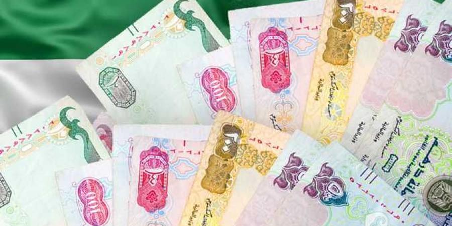 سعر الدرهم الإماراتي اليوم الثلاثاء 29-10-2024 - أقرأ 24