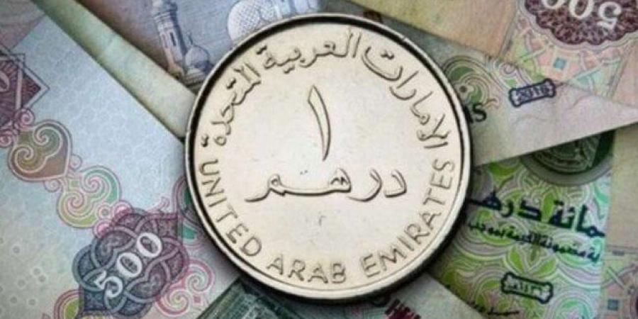 وصل كام؟.. سعر الدرهم الإماراتي مقابل الجنيه المصري اليوم الثلاثاء 29 أكتوبر 2024 - أقرأ 24