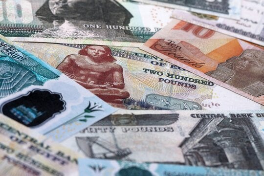 172 ألف جنيه سنويًا.. تفاصيل شهادات الادخار ذات العائد الثابت 17.25% في البنوك