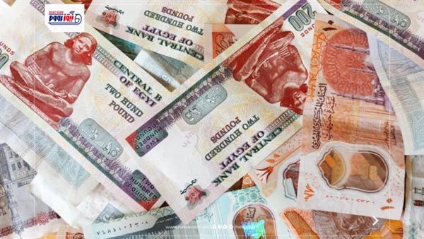 موعد صرف معاش تكافل وكرامة يوليو 2026.. خطوات الاستعلام بالرقم القومي