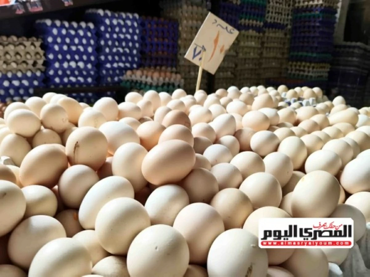 حسين أبو صدام: بعض الدول تستخدم البيض فى الزراعة