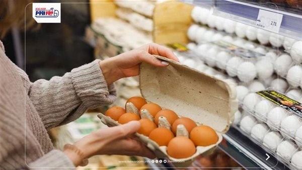 بكم سعر كرتونة البيض اليوم؟.. آخر تحديث للأسعار في الأسواق المصرية