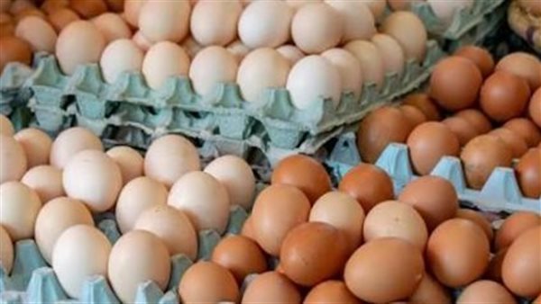 تعرف على سعر كرتونة البيض اليوم السبت 27 يونيو للمستهلك والجملة
