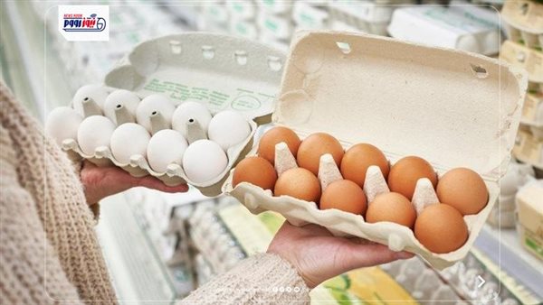 بكام النهارده؟.. سعر كرتونة البيض اليوم السبت 27 يونيو 2026