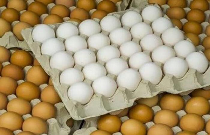انخفاض البلدي 5 جنيهات، سعر كرتونة البيض اليوم السبت في بورصة الدواجن