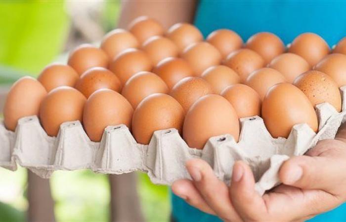 الأبيض يبدأ من 74 جنيها، سعر كرتونة البيض اليوم الثلاثاء ببورصة الدواجن