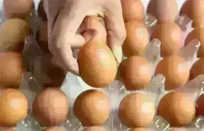 سعر كرتونة البيض في بورصة الدواجن وللمستهلك اليوم الجمعة 26 يونيو 2026