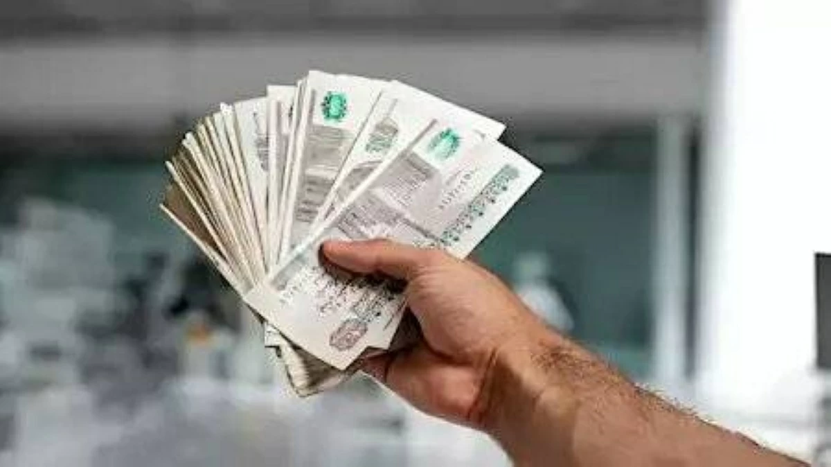 أعلى شهادات البنك الأهلي 2026 لمدة 3 سنوات.. فائدة متدرجة تصل 22%