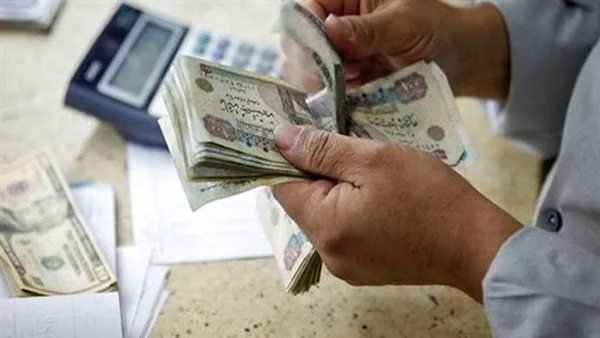 بدء الاكتتاب من 1000 جنيه.. 5 بنوك تتصدر سباق شهادات الادخار في مصر