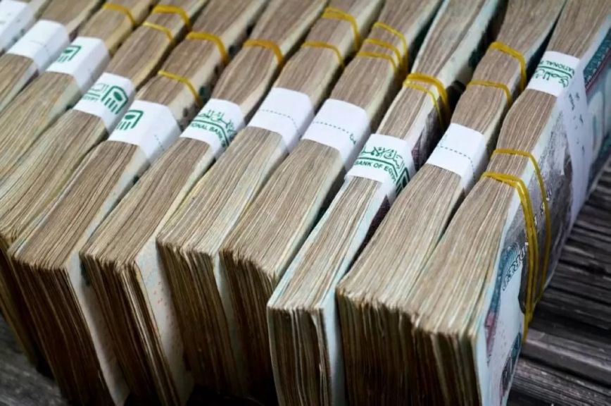 دخل ثابت وعوائد مرتفعة.. ننشر أفضل شهادات ادخار لكبار السن وأصحاب المعاشات 2026