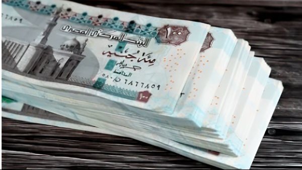 شهادة جديدة بعائد 19.5% من البنك الأهلي المصري.. تفاصيل القرارات وموعد التطبيق
