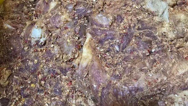 ضبط ربع طن لحوم ومنتجات دواجن غير صالحة داخل أحد مطاعم بنها