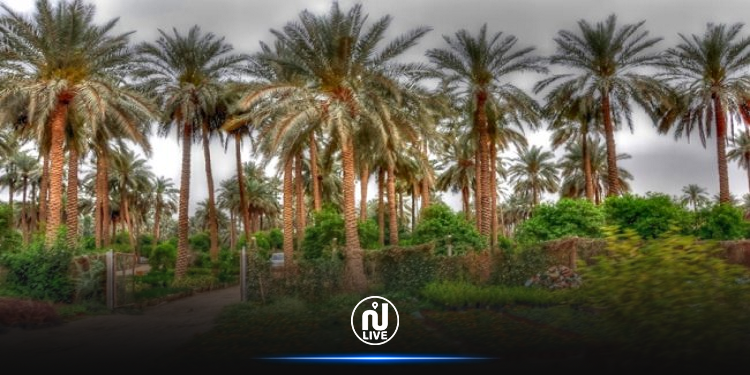 قبلي: الإعلان عن طلب عروض دولي لحفر 4 آبار جيوحرارية عميقة جداً بعدد من الواحات