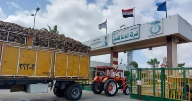 ملاحظات بالمليارات على القوائم المالية لـ الدلتا للسكر.. وتراجع حاد في الأرباح