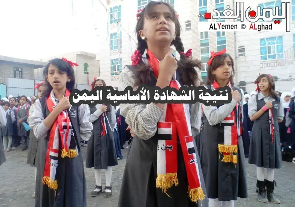 نتائج الصف التاسع 2026 في اليمن.. رابط الاستعلام الرسمي للشهادة الأساسية